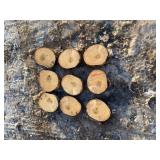 9-Boxelder Cookies