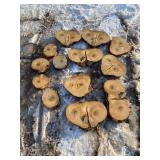 13 Boxelder Cookies