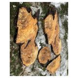 Spalted Hard Maple Slabs