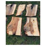 Flaming White Birch Slabs
