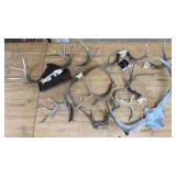 Antler Lot