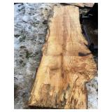 Spalted Hard Maple Slabs