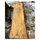 Splated Hard Maple Slabs
