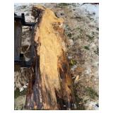 Spalted Hard Maple Slabs