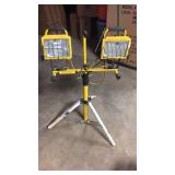 Home Light  Double Shop Light