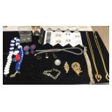 Assorted Necklaces, Earrings and Pins