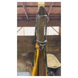 Horse Bridle and Running Martin Dale