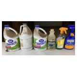 Lot of Bleach, Ammonia, and Disinfectant