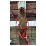 Nylon Horse Bridle