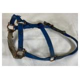Horse Halter