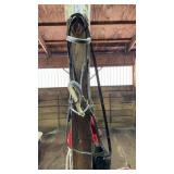 Horse Bridle