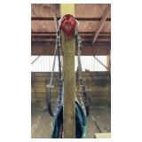 Reins with Cheek Pieces and Snaffle Bit