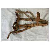 Leather Horse Haulter