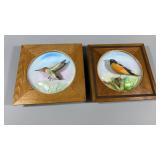 2- 3D Birds in Frame