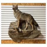 Standing Coyote On Rock Base Mount