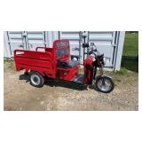IRET13 New ELECTRIC TRICYCLE RED