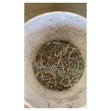 Bucket 3" Framing and Roofing Nails