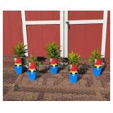 5 Watermelon Flame Garden Phlox Plants