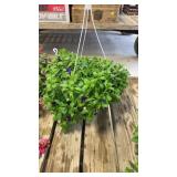 Purple Petunia Hanging Basket