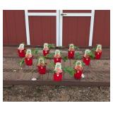 10 Everbearing Eversweet Strawberry Plants