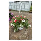 Purple & Red petunias combined with white verbena