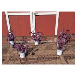 5 Wildberry Coral Bell Plants