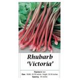 4 Victoria Red Rhubarb Plants