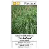 5 Assorted Colors Charters Mix Hollyhock Plants