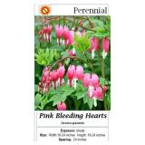 4 Bleeding Hearts Plants