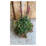 Mixed Hanging Basket