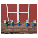 5 Creeping Wooly Mother Ground Cover Thyme Plants