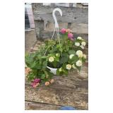 Mixed Hanging Basket
