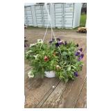 Purple & Red petunias combined with white verbena