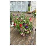 Purple & Red petunias combined with white verbena