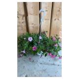 Pink Purple Petunia Hanging Basket