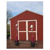 2 Northern Spy Apple Trees