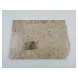 15" x 11" Slab Of Marble