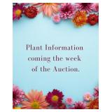 Plants will be added the week before the auction