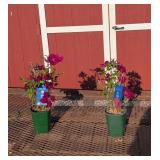 2 Red Nubia Clematis Vine Plants