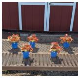5 Orangeberry Ruffle Heuchera Coral Bells Plants