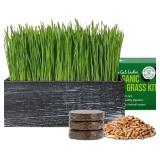 The Cat Ladies Cat Grass Kit with Black Rustic