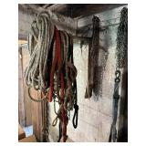 Horse leads and Contents of Cabinet