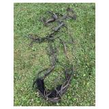 Horse Reins
