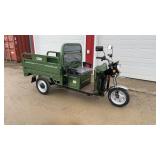 IRET13 New ELECTRIC TRICYCLE Green