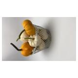 Small Mini Live Pumpkin Center Piece