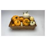 Mini Live Pumpkin Center Pieces