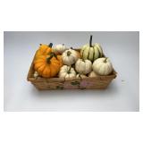 Mini Live Pumpkin Center Pieces