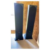 2 Pioneer Speakers