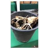 Bucket of Deer Sheds/Antlers