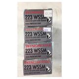 .223 WSSM - Winchester - 55 Grain